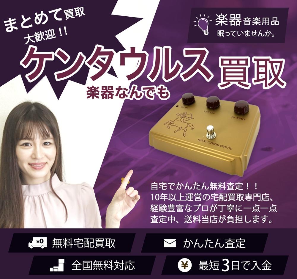 ケンタウルス(KLON CENTAUR) | 買取ぞうさん